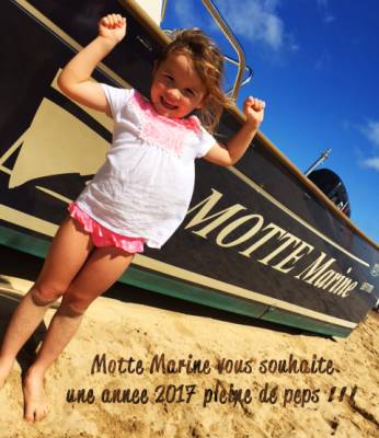 Happy New Year 2017 ! 2