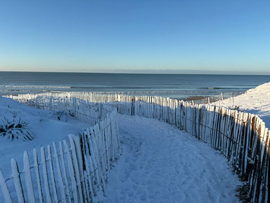 Nouvelle année, nouveau projet 🎉